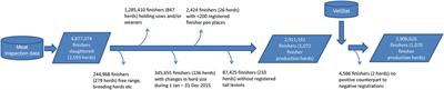 Associations between Antibacterial Treatment and the Prevalence of Tail-Biting-Related Sequelae in Danish Finishers at Slaughter